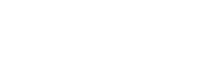 Google button