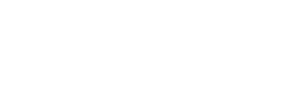 Google button